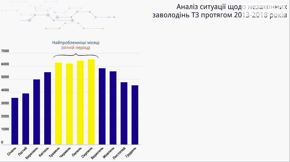 Самые угоняемые машины Украины в 2018 году. Кто в группе риска?