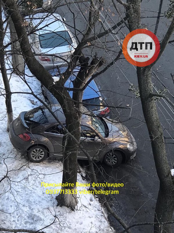 В Киеве заметили необычного \"героя парковки\": фото