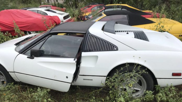 В поле нашли коллекцию брошенных классических Ferrari