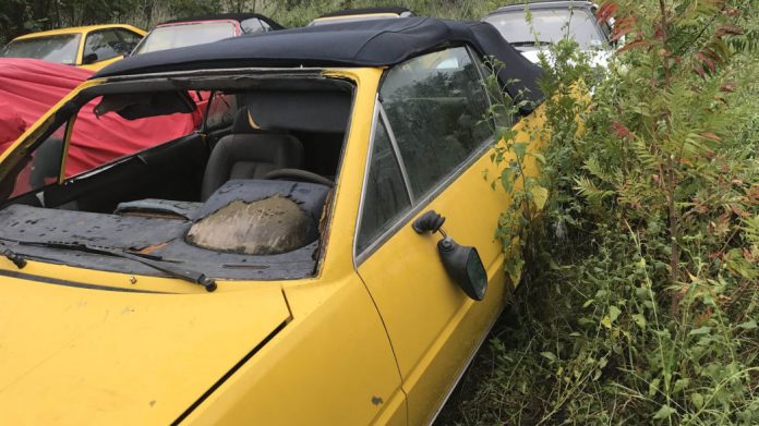 В поле нашли коллекцию брошенных классических Ferrari