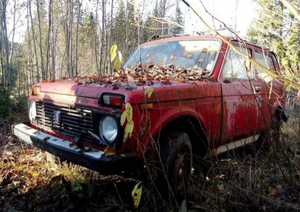 В Сети показали кладбище советских авто за границей, фото