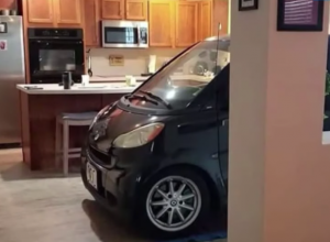 Житель Флориды спрятал свой Смарт от урагана на собственной кухне