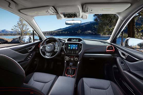 Посмотрите что сделал медведь с этим бедным Subaru